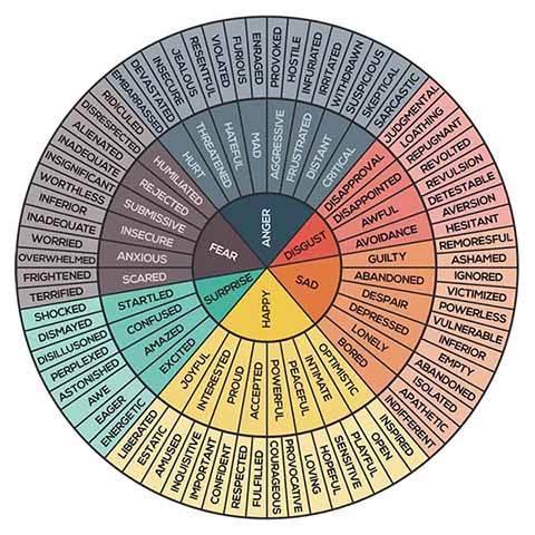 Emotional Regulation with Emotion Wheels