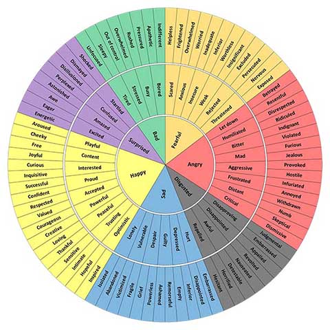 Emotional Awareness with Emotion Wheels