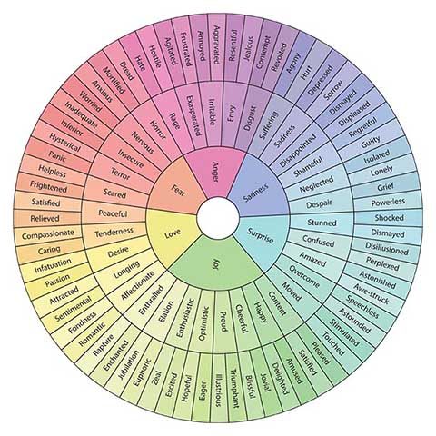 Printable Emotion Wheel